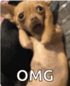 1000042056.gif