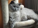 IMG_2124.jpeg