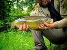 IMG_8090.jpeg