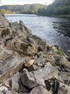 IMG_7177.jpeg