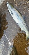 IMG_7167.jpeg