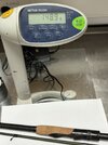 IMG_2955.jpeg