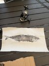 IMG_5075.jpeg