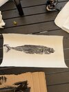 IMG_5077.jpeg