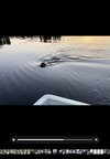 IMG_0336.jpeg