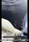 IMG_0340.jpeg