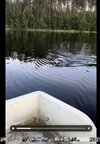 IMG_0338.jpeg