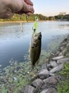 IMG_0196.jpeg