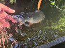 IMG_0767.jpeg