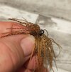 IMG_20260704_235547.jpg