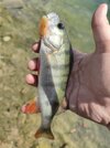 IMG_20260808_125646.jpg