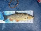 IMG_3320.JPG
