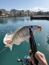 IMG_6027.jpeg