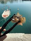 IMG_6033.jpeg