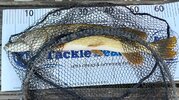 20260821_104932.jpg