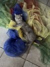 IMG_3108.jpeg