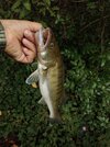 IMG20260822155142.jpg
