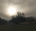 IMG_20260829_232617.jpg