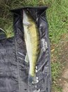 20260829_123618.jpg