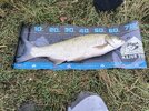 IMG_20260901_085751.jpg