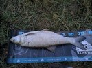 IMG_20260901_054939.jpg