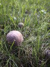 IMG_20260903_193816.jpg