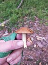 IMG20260903075507.jpg