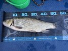 IMG_3395.JPG