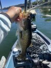 IMG_0330.jpeg
