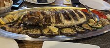 IMG_0046.jpeg