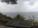 IMG_20260905_120822.jpg
