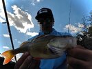 IMG_20260912_114058.jpg