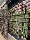 IMG_4189.jpeg
