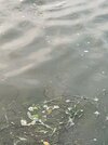 IMG_9306.jpeg