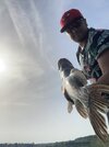 IMG_3525.jpeg