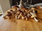 20260918_173946.jpg