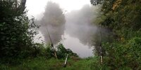 IMG_20260923_070536.jpg