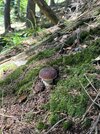 IMG_9880.jpeg