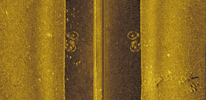 1790707332010.png