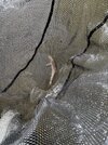 IMG_3680.jpeg