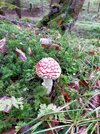 IMG20201021164113.jpg