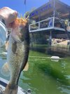 IMG_0331.jpeg