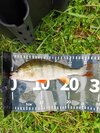IMG_20261009_124500.jpg