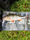 IMG_20261009_120122.jpg