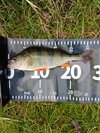 IMG_20261009_104904.jpg