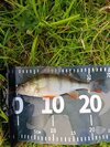 IMG_20261010_120824.jpg