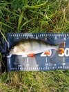 IMG_20261010_124359.jpg