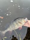 IMG_1856.jpeg