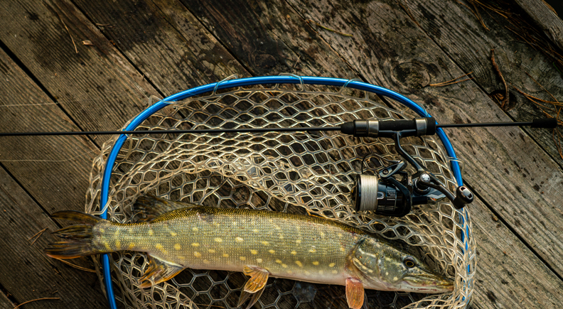 en.favorite-fishing.com