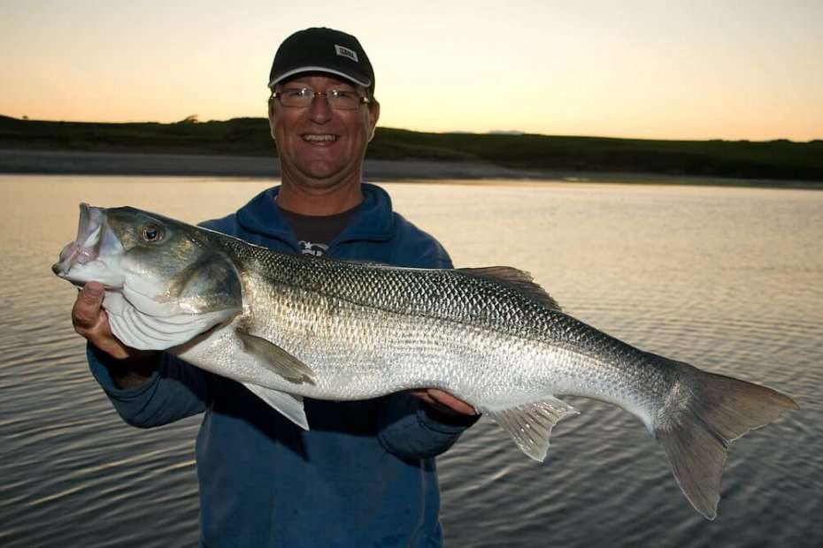 www.talkseafishing.co.uk